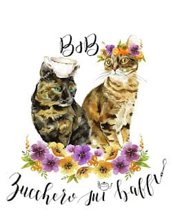Zucchero sui baffi B&B