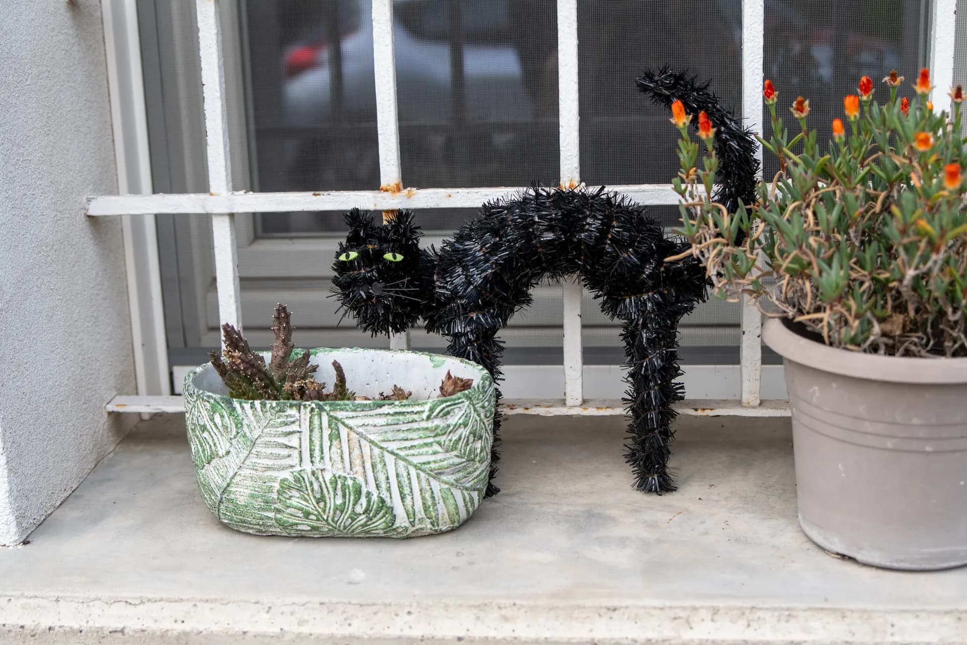 Gatto nero decorativo tra vasi di piante grasse sul davanzale