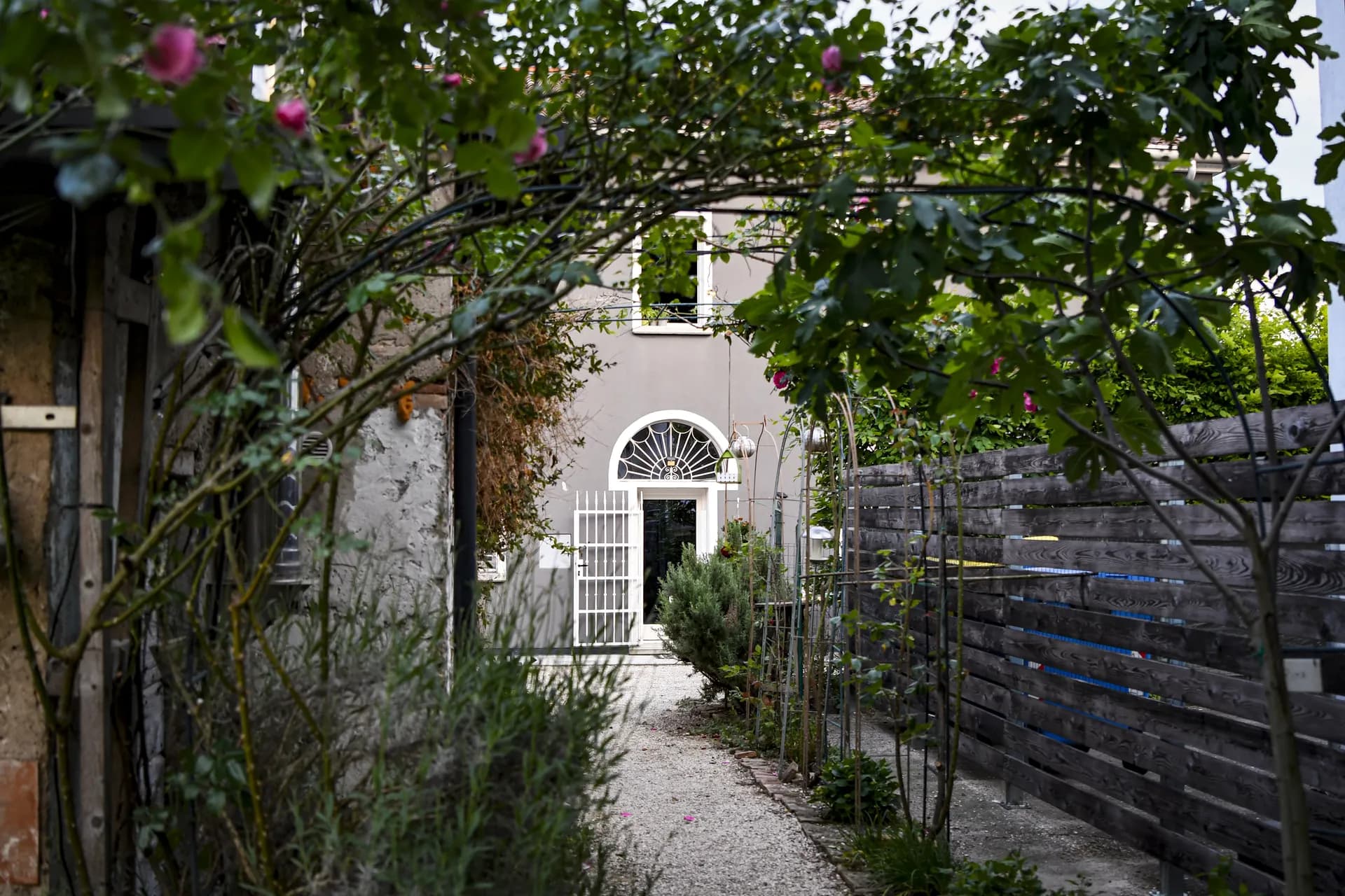 Il vialetto visto dal retro della corte, tra rose e piante rampicanti