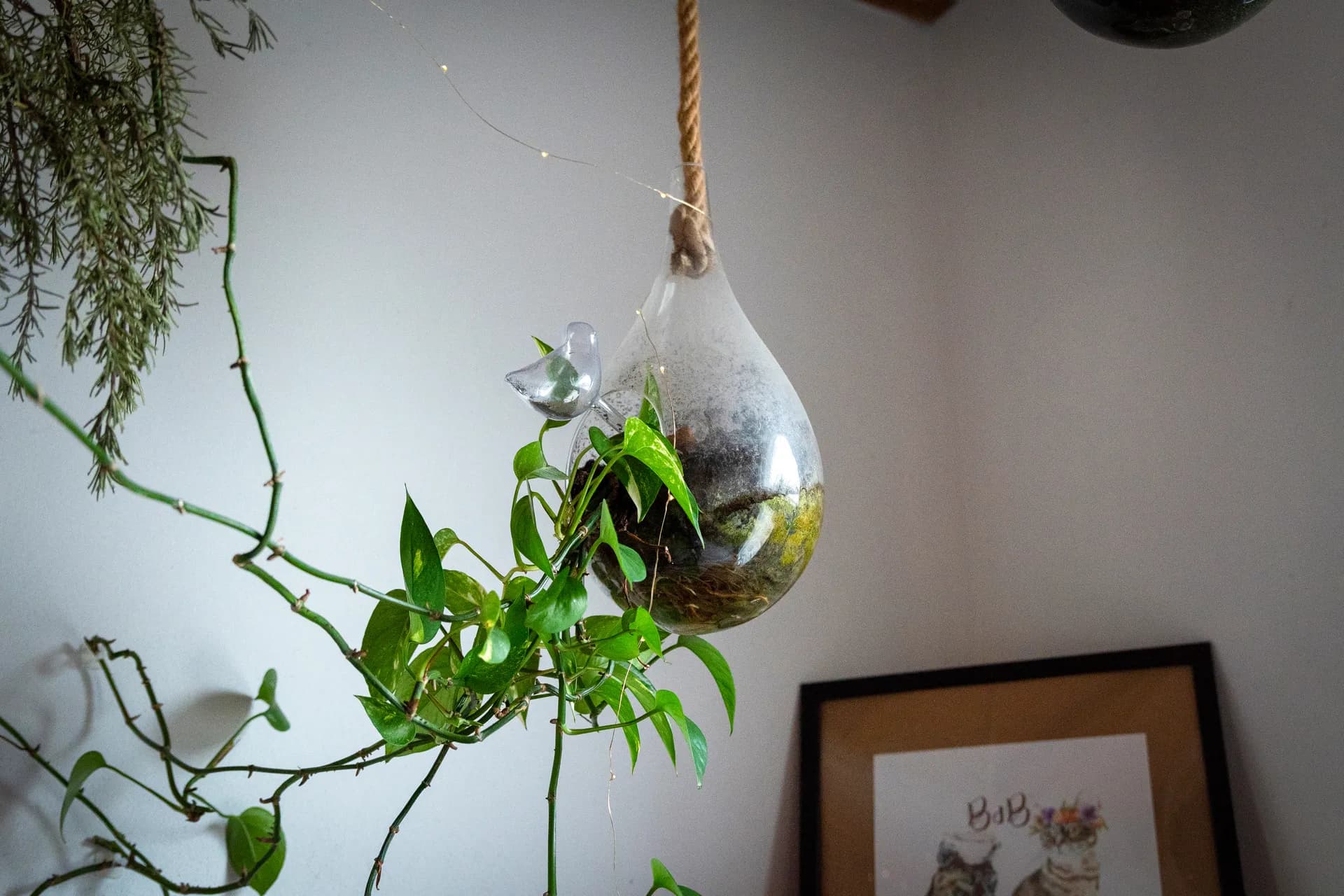 Terrario sospeso in vetro con pianta ed elementi decorativi