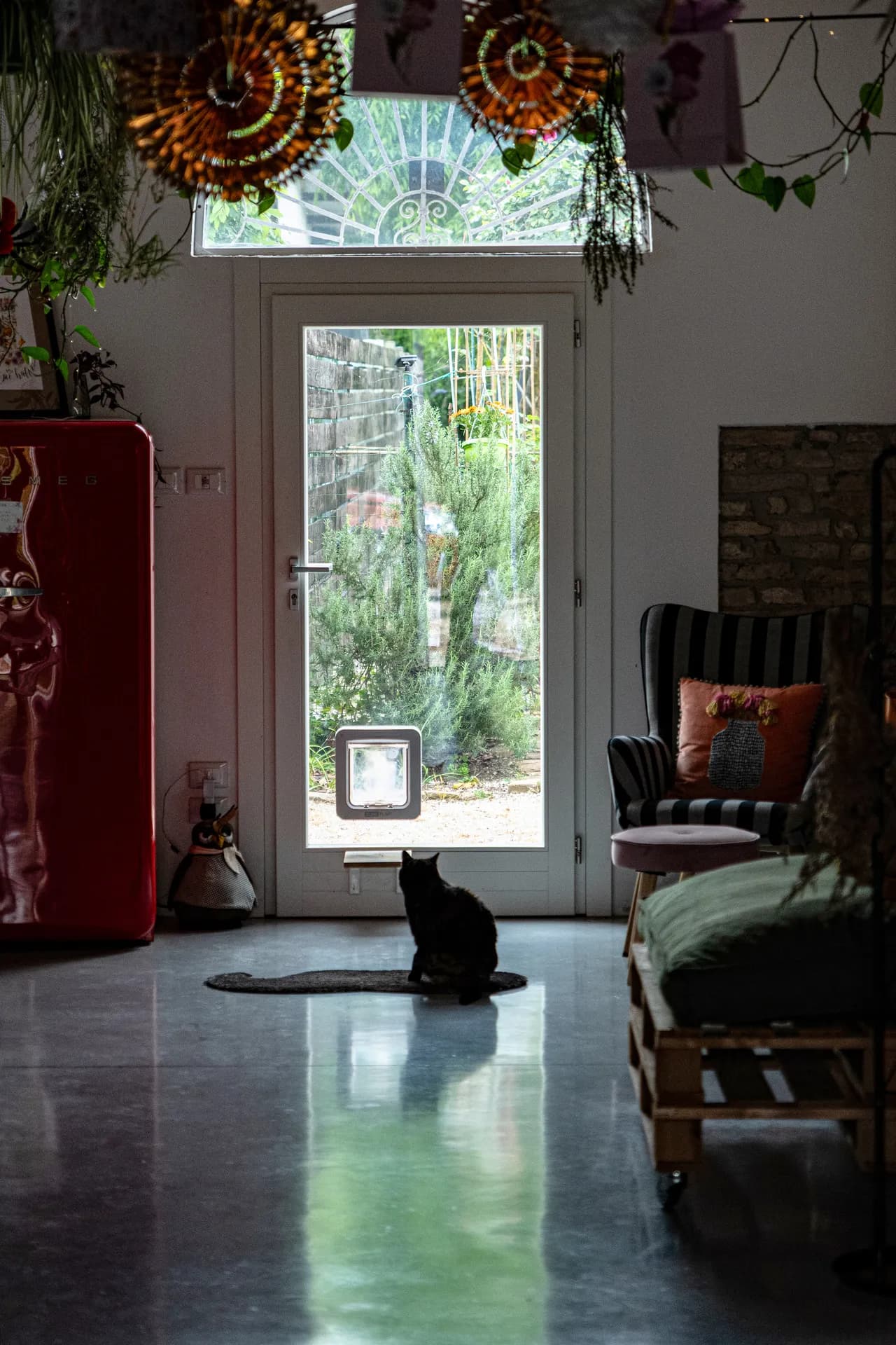 Corridoio del B&B con gatto nero, frigo rosso vintage, luce naturale dalla vetrata e piante